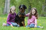 ENFANT ET CHIEN 294